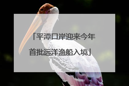 平潭口岸迎来今年首批远洋渔船入境