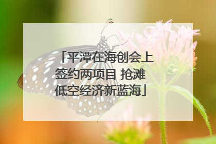 平潭在海创会上签约两项目 抢滩低空经济新蓝海