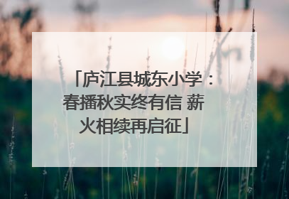 庐江县城东小学：春播秋实终有信 薪火相续再启征
