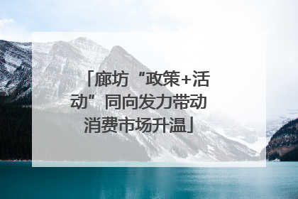 廊坊“政策+活动”同向发力带动消费市场升温