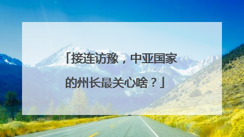 接连访豫，中亚国家的州长最关心啥？