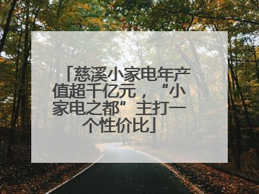 慈溪小家电年产值超千亿元，“小家电之都”主打一个性价比