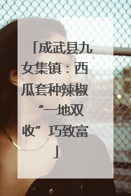 成武县九女集镇：西瓜套种辣椒 “一地双收”巧致富