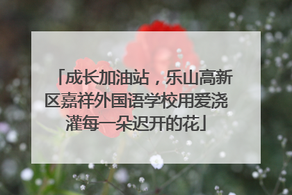 成长加油站，乐山高新区嘉祥外国语学校用爱浇灌每一朵迟开的花