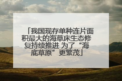 我国现存单种连片面积最大的海草床生态修复持续推进 为了“海底草原”更繁茂