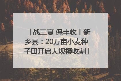 战三夏 保丰收丨新乡县：20万亩小麦种子田开启大规模收割