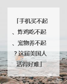 手机买不起、炸鸡吃不起、宠物养不起？这届美国人活得好难