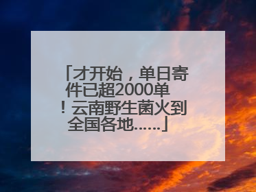 才开始，单日寄件已超2000单！云南野生菌火到全国各地……