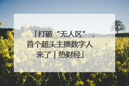 打破“无人区”，首个超头主播数字人来了｜热财经