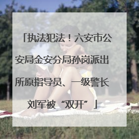 执法犯法！六安市公安局金安分局孙岗派出所原指导员、一级警长刘军被“双开”