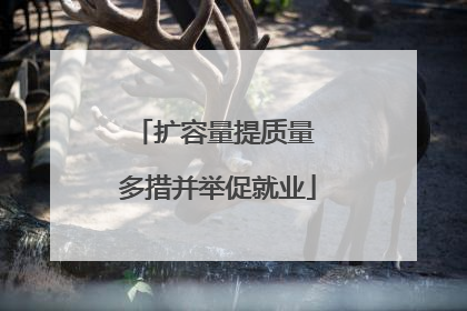 扩容量提质量 多措并举促就业