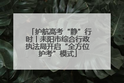 护航高考“静”行时丨耒阳市综合行政执法局开启“全方位护考”模式