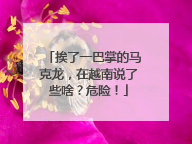 挨了一巴掌的马克龙，在越南说了些啥？危险！