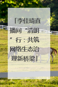 李佳琦直播间“清朗”行：共筑网络生态治理新桥梁
