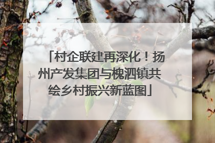 村企联建再深化！扬州产发集团与槐泗镇共绘乡村振兴新蓝图