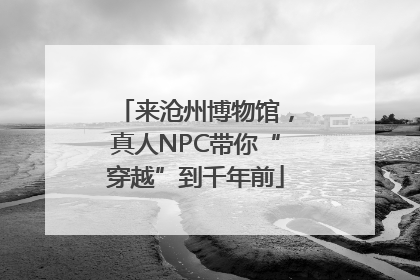 来沧州博物馆，真人NPC带你“穿越”到千年前