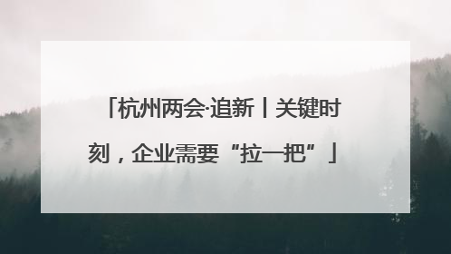 杭州两会·追新丨关键时刻，企业需要“拉一把”