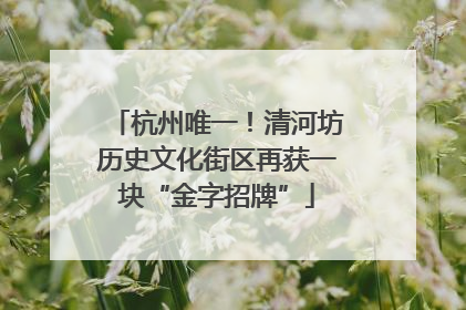 杭州唯一！清河坊历史文化街区再获一块“金字招牌”