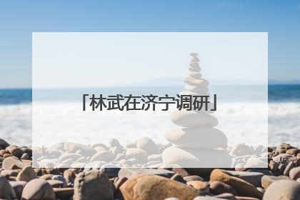 林武在济宁调研