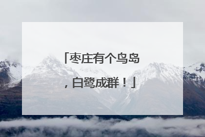 枣庄有个鸟岛，白鹭成群！