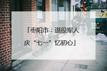 枣阳市：退役军人庆“七一”忆初心