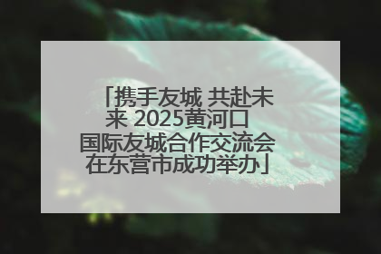 携手友城 共赴未来 2025黄河口国际友城合作交流会在东营市成功举办