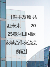 携手友城 共赴未来——2025黄河口国际友城合作交流会侧记
