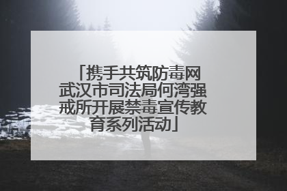 携手共筑防毒网 武汉市司法局何湾强戒所开展禁毒宣传教育系列活动