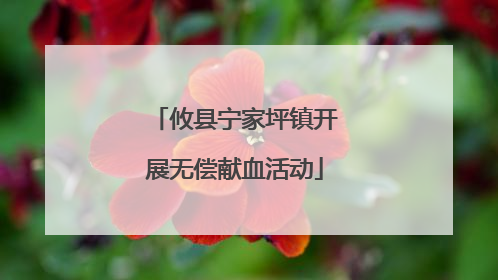 攸县宁家坪镇开展无偿献血活动