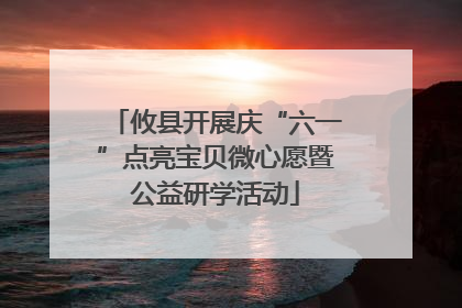 攸县开展庆“六一”点亮宝贝微心愿暨公益研学活动