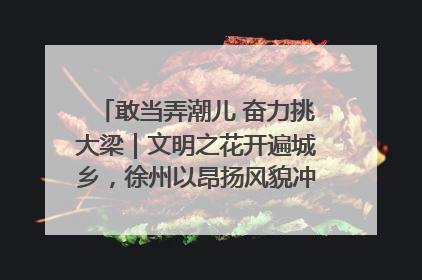 敢当弄潮儿 奋力挑大梁｜文明之花开遍城乡，徐州以昂扬风貌冲刺“万亿之城”
