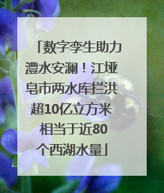 数字孪生助力澧水安澜！江垭皂市两水库拦洪超10亿立方米 相当于近80个西湖水量