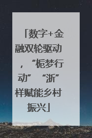 数字+金融双轮驱动，“栀梦行动”“浙”样赋能乡村振兴