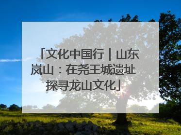 文化中国行｜山东岚山：在尧王城遗址探寻龙山文化