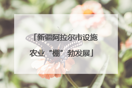 新疆阿拉尔市设施农业“棚”勃发展