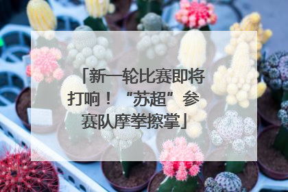 新一轮比赛即将打响！“苏超”参赛队摩拳擦掌