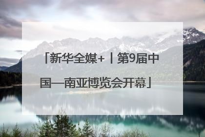 新华全媒+丨第9届中国—南亚博览会开幕