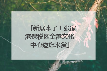 新展来了！张家港保税区金港文化中心邀您来赏