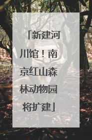 新建河川馆！南京红山森林动物园将扩建