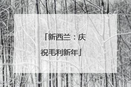 新西兰：庆祝毛利新年