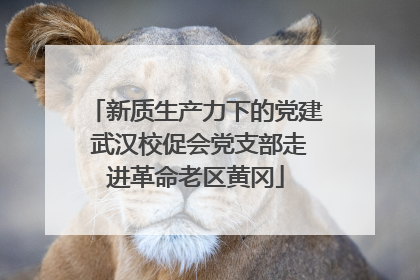 新质生产力下的党建 武汉校促会党支部走进革命老区黄冈
