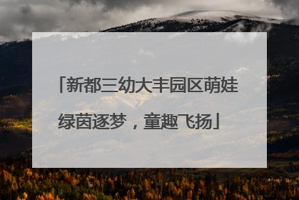 新都三幼大丰园区萌娃绿茵逐梦，童趣飞扬