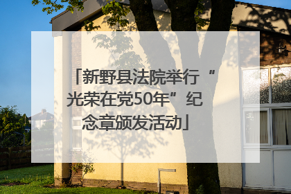 新野县法院举行“光荣在党50年”纪念章颁发活动