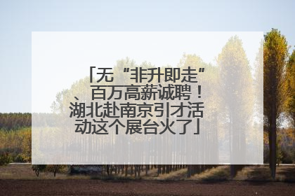 无“非升即走”、百万高薪诚聘！湖北赴南京引才活动这个展台火了