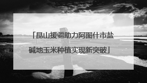 昆山援疆助力阿图什市盐碱地玉米种植实现新突破