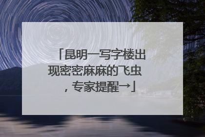 昆明一写字楼出现密密麻麻的飞虫，专家提醒→