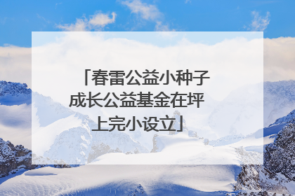 春雷公益小种子成长公益基金在坪上完小设立