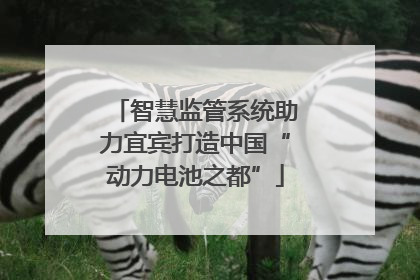 智慧监管系统助力宜宾打造中国“动力电池之都”