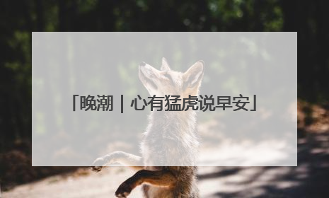 晚潮｜心有猛虎说早安