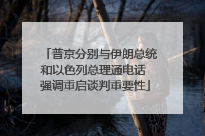 普京分别与伊朗总统和以色列总理通电话 强调重启谈判重要性